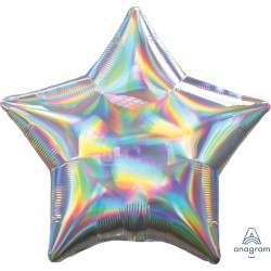 Estrella 22" Iridescent Silver